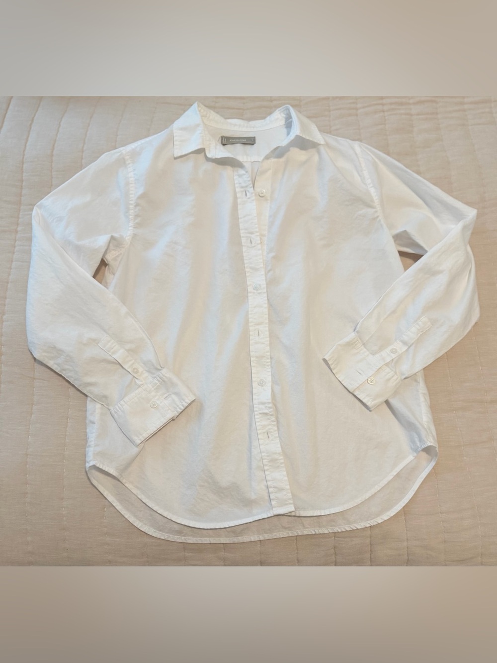 Everlane Everyday Shirt in Silky Cotton